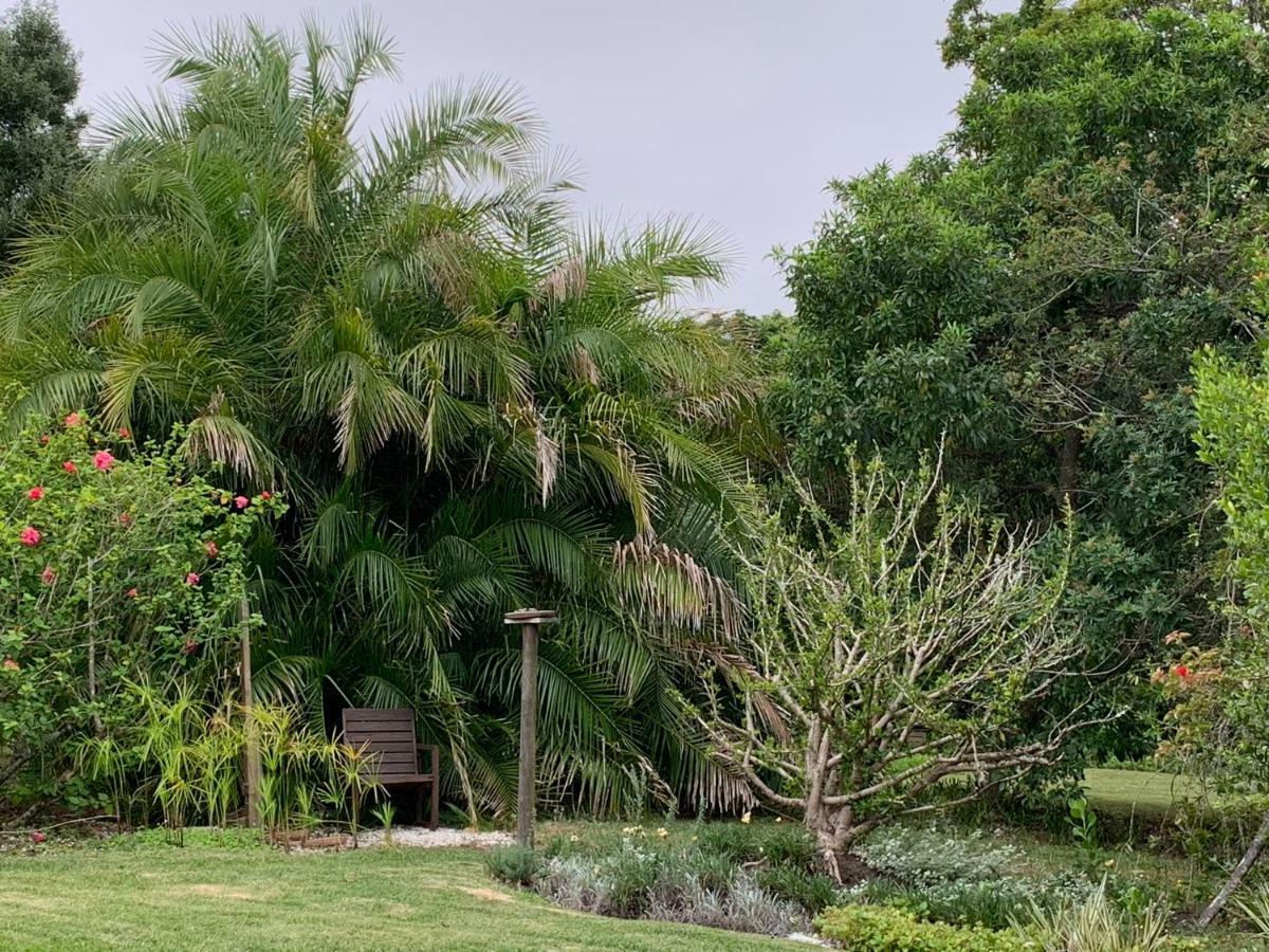 Garden Cottage In Ambiente Guest House Knysna Exterior photo